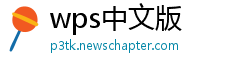 wps中文版